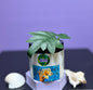Island Vibes Body Scrub ( Wooden stir spoon included 1st purchase!)